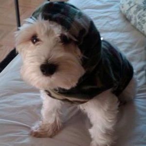 Meet your Posher, Bleecker